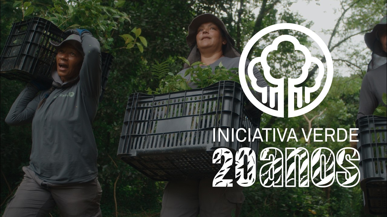 Iniciativa Verde: 20 anos plantando o futuro