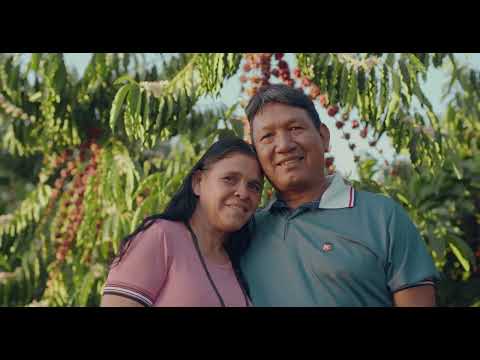 Notiê por Priceless: Manifesto Amazônia