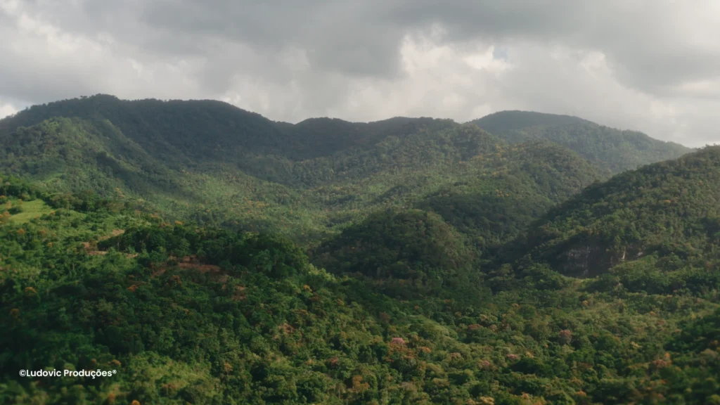 Produção audiovisual ESG da Iniciativa Verde destacando trabalho de reflorestamento e impacto socioambiental.