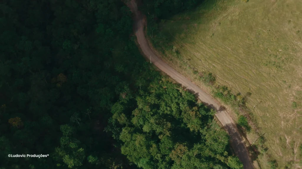 Vista aérea de reflorestamento da Iniciativa Verde mostrando transição entre floresta e área degradada em projeto ESG.